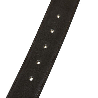 Celine Horse Carriage Vintage Motif Belt Black Brown Gold Leather Plated — view 6