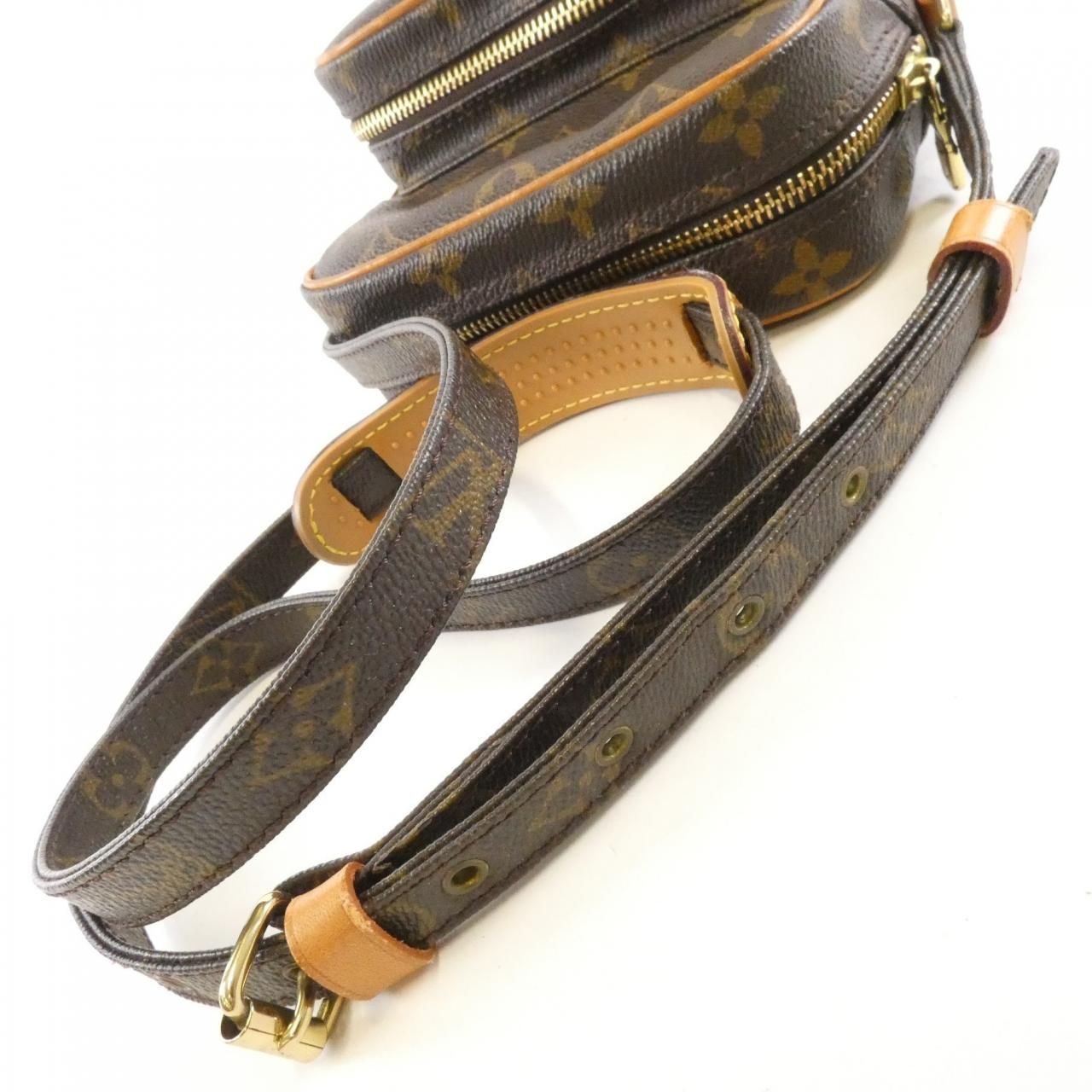 Louis Vuitton Monogram Amazon Shoulder — view 7
