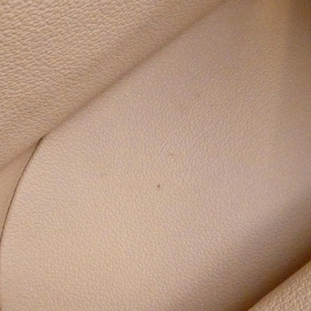 Louis Vuitton Monogram Petit Bucket Shoulder — view 9