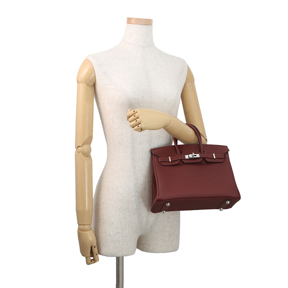 Hermes Birkin 25 Rouge Ache Silver Togo Handbag — view 4