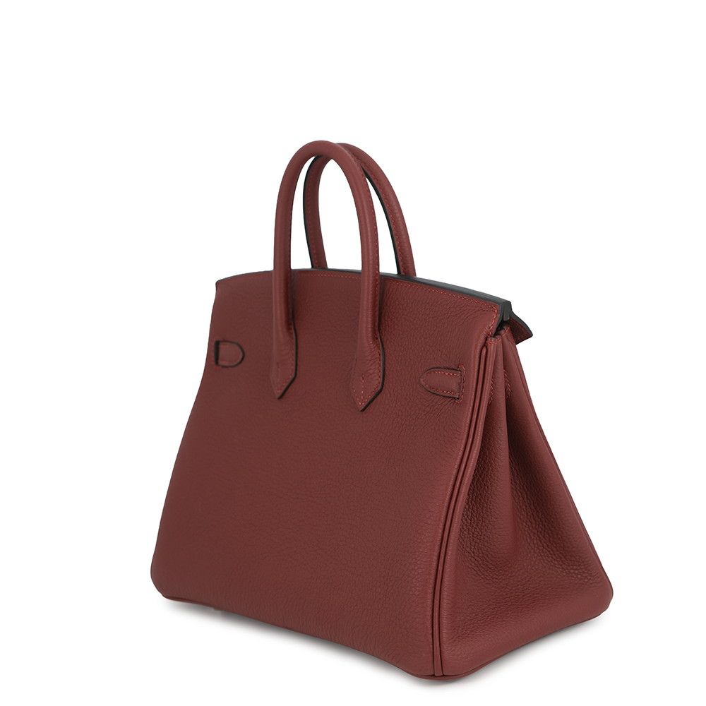 Hermes Birkin 25 Rouge Ache Silver Togo Handbag — view 2