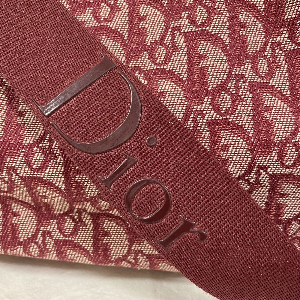 Dior Trotter Canvas Shoulder Bag — view 9
