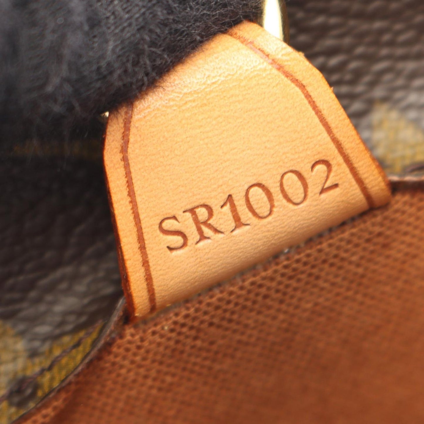 Louis Vuitton Tote Vavin GM Monogram Canvas Leather — view 5