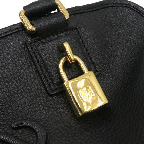 Loewe Amazona 28 Clutch — view 7