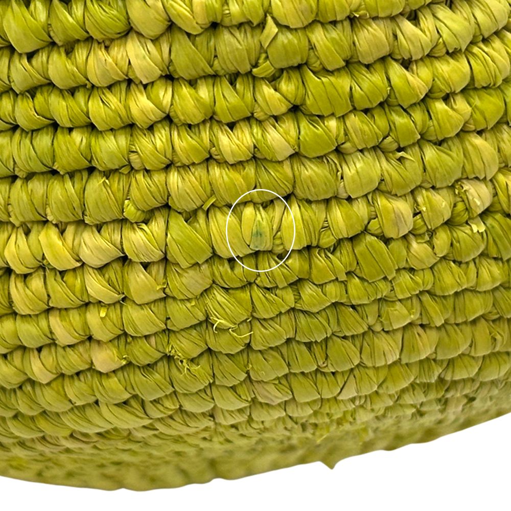 Loewe Anagram Shoulder Bag Raffia Leather Green Crossbody Logo Cool Spring — view 8