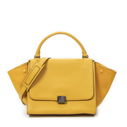Celine yellow Gray calfskin Leather