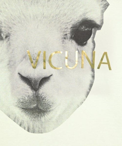 Loro Piana T-Shirt White — view 5