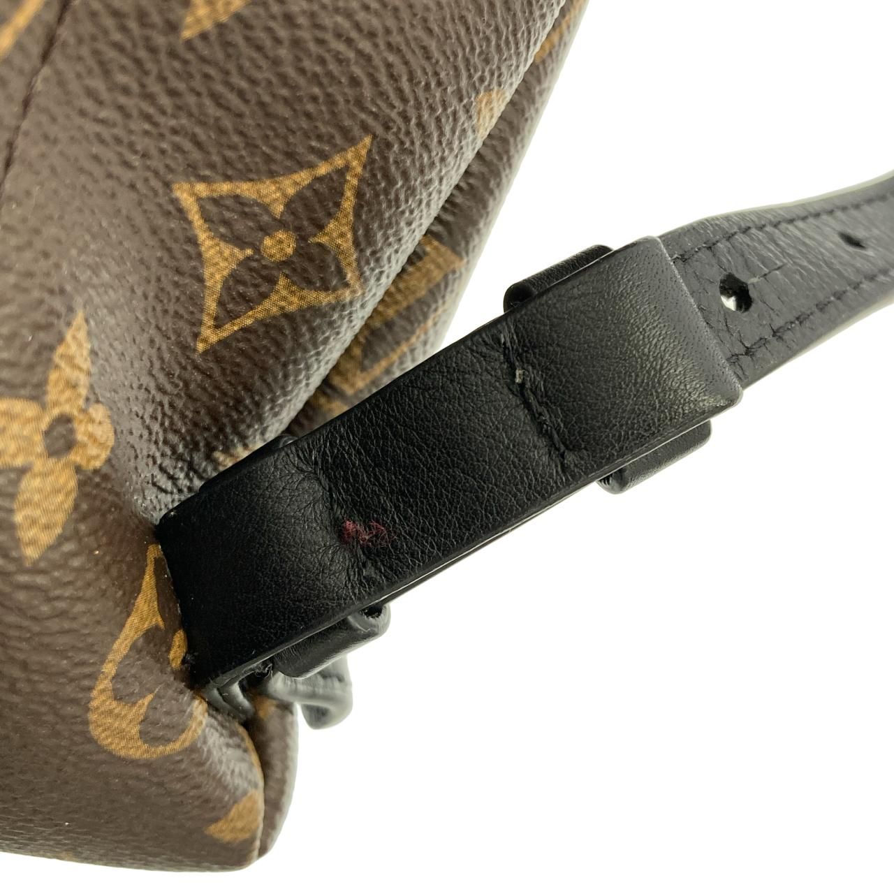 Louis Vuitton Monogram Palm Springs Backpack PM — view 5