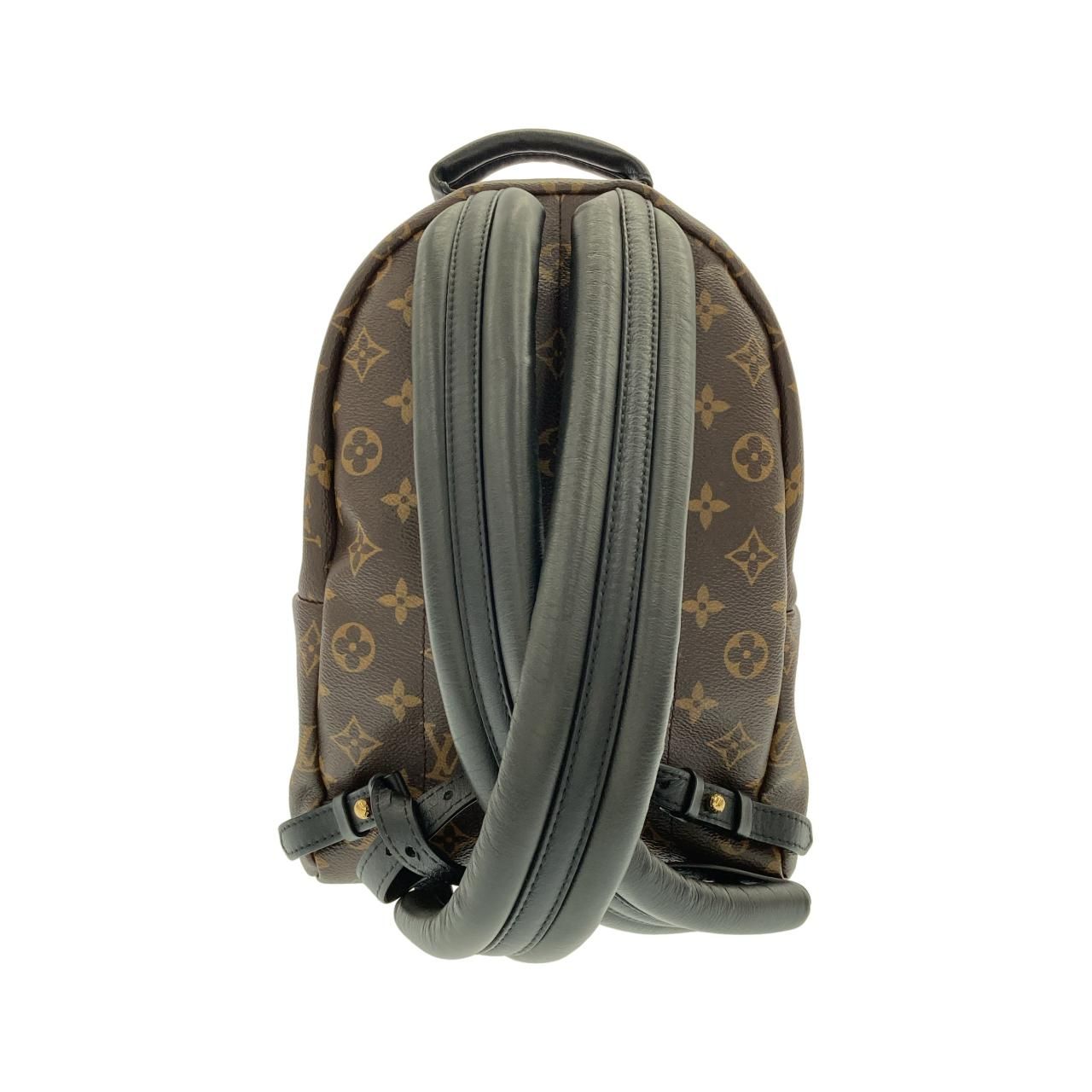 Louis Vuitton Monogram Palm Springs Backpack PM — view 2