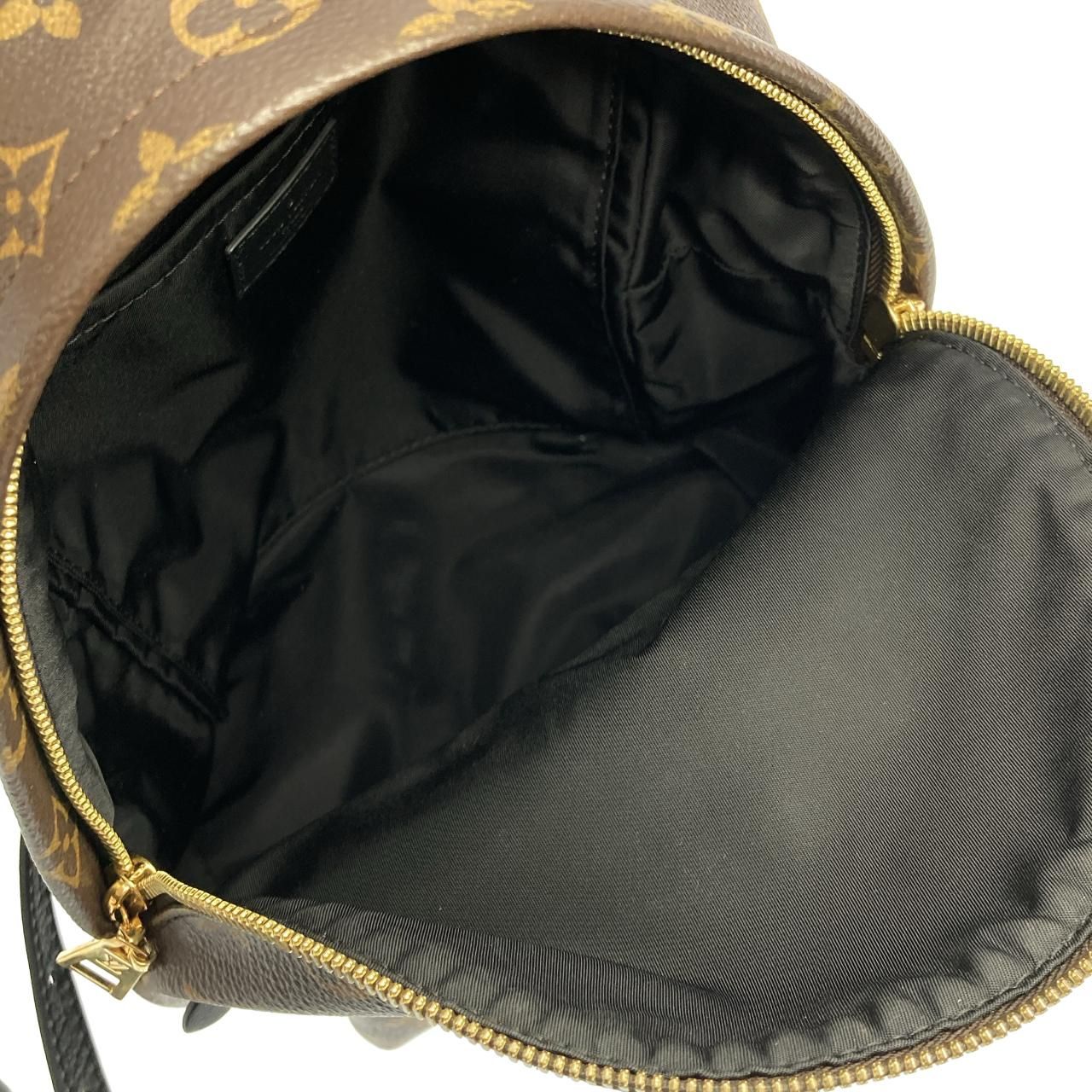 Louis Vuitton Monogram Palm Springs Backpack PM — view 9