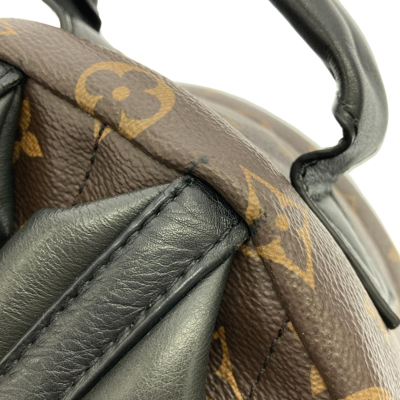 Louis Vuitton Monogram Palm Springs Backpack PM — view 4