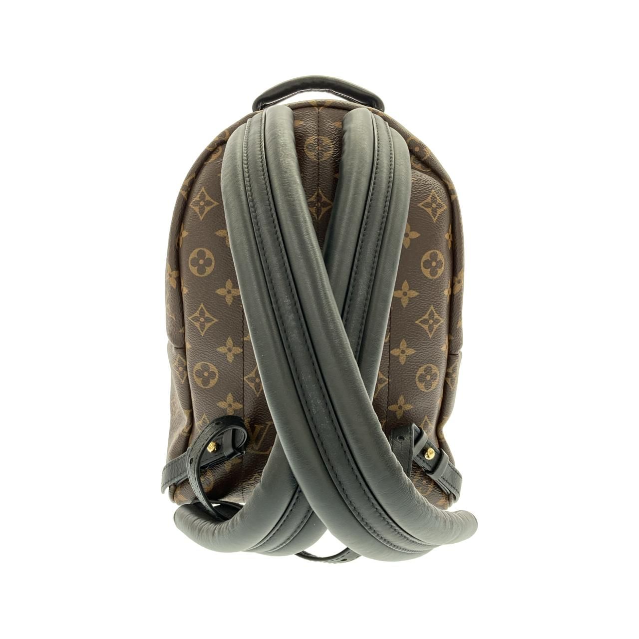 Louis Vuitton Monogram Palm Springs Backpack PM — view 2
