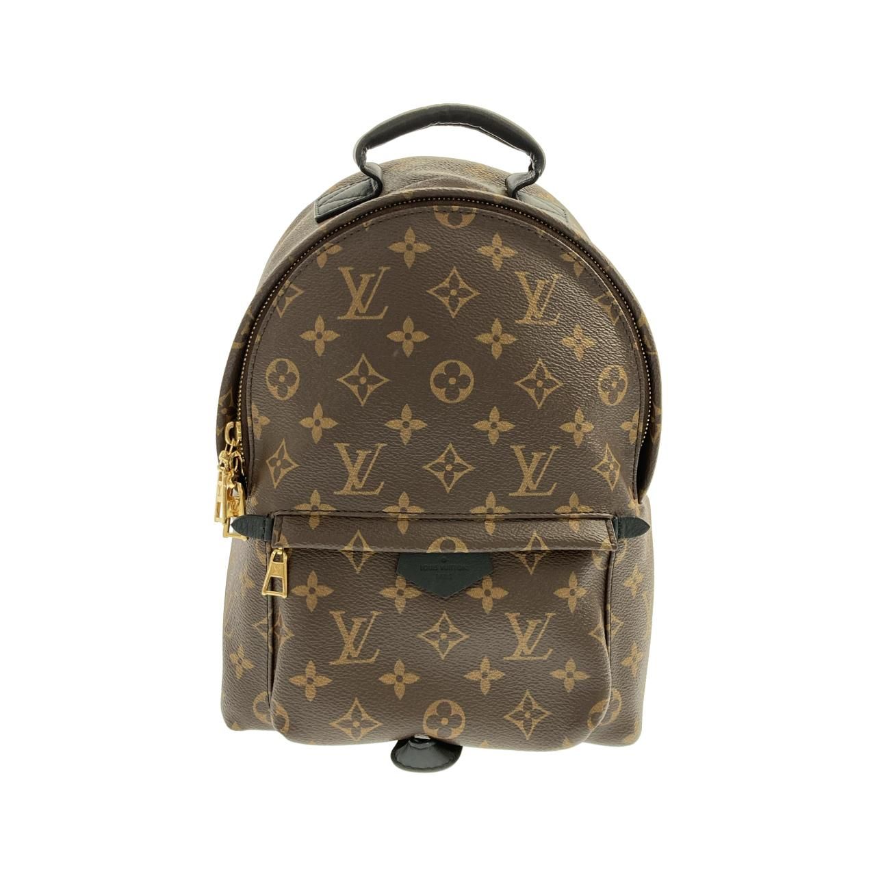 Louis Vuitton Monogram Palm Springs Backpack PM