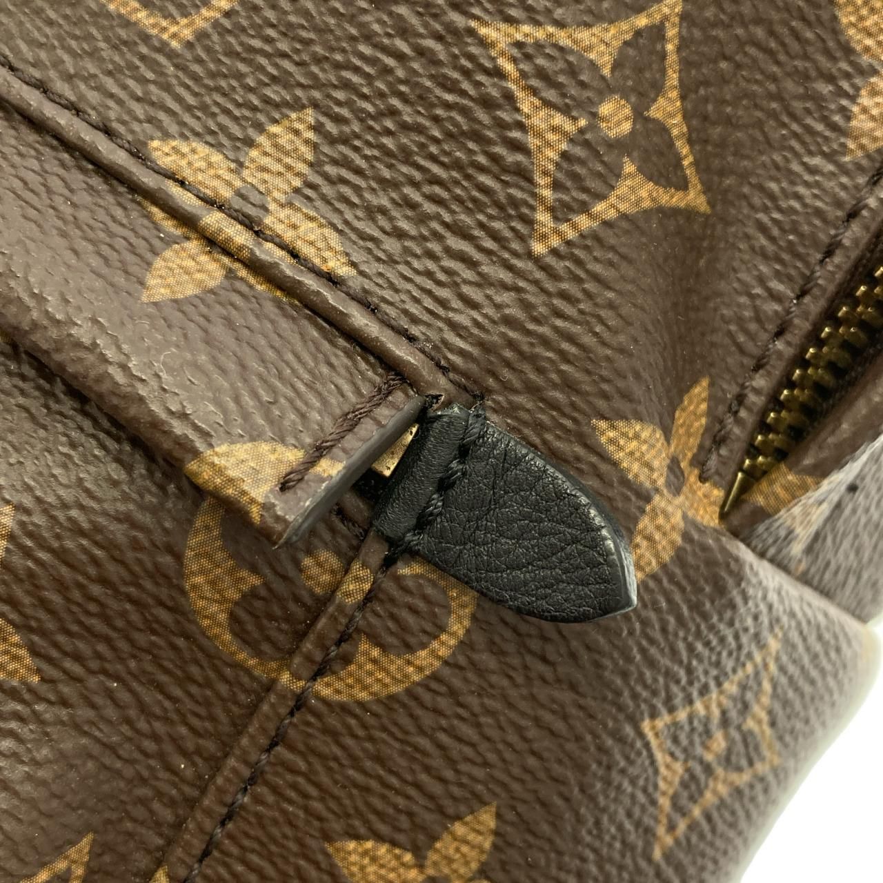Louis Vuitton Monogram Palm Springs Backpack PM — view 5