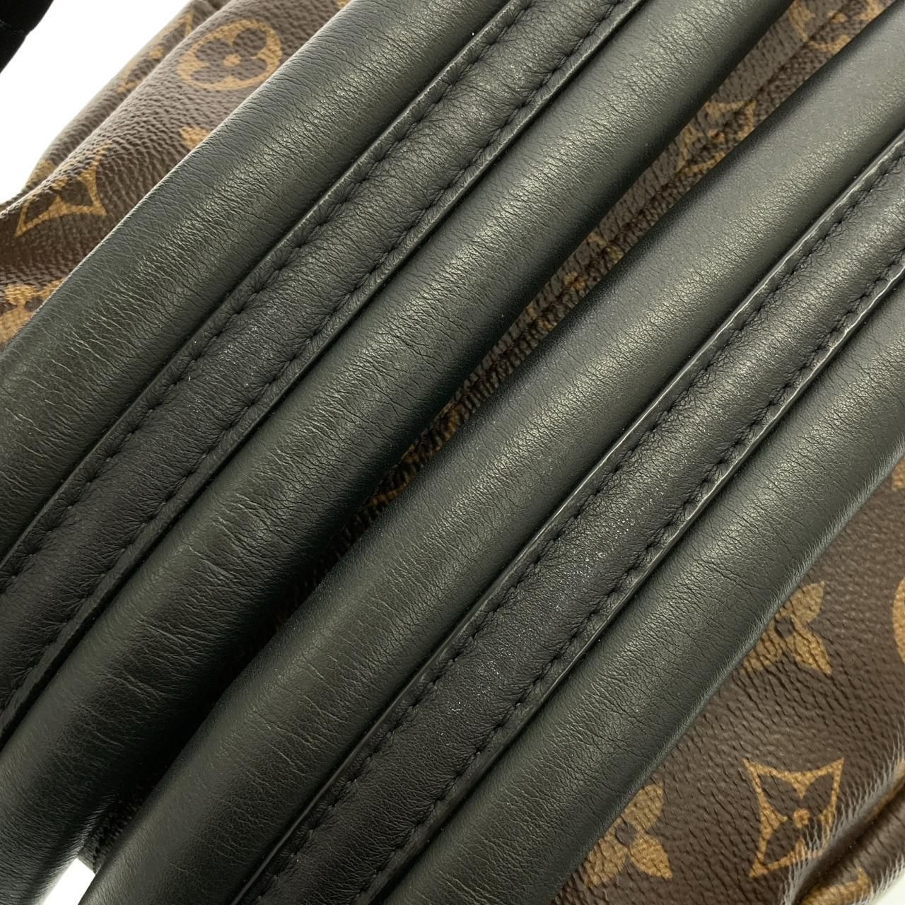 Louis Vuitton Monogram Palm Springs Backpack PM — view 8