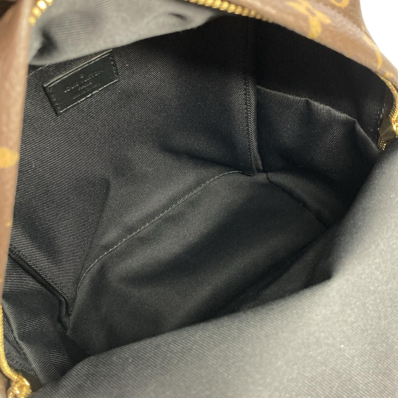 Louis Vuitton Monogram Palm Springs Backpack PM — view 9