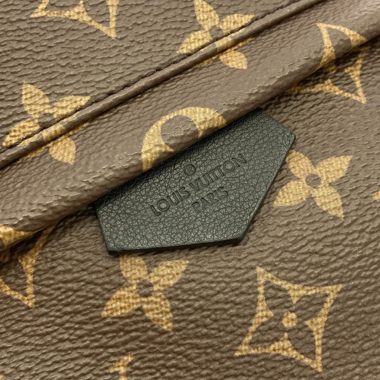 Louis Vuitton Monogram Palm Springs Backpack PM — view 6