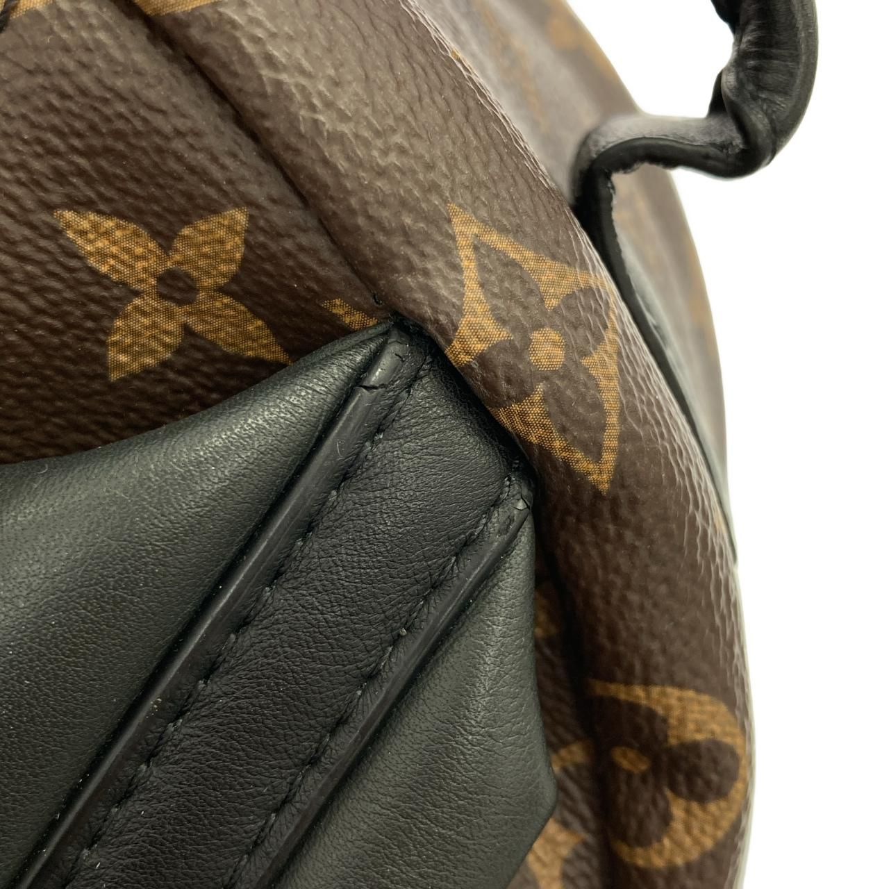 Louis Vuitton Monogram Palm Springs Backpack PM — view 7