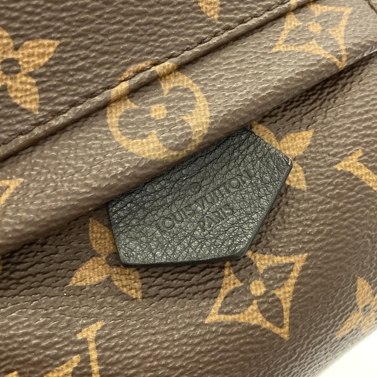 Louis Vuitton Monogram Palm Spring Backpack Mini — view 5