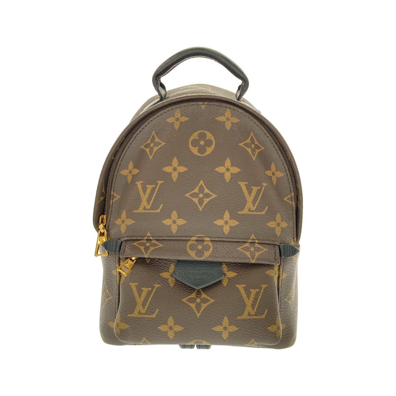 Louis Vuitton Monogram Palm Spring Backpack Mini