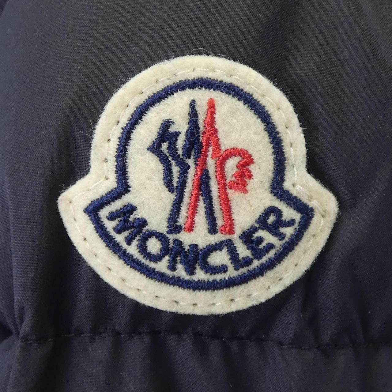 Moncler Brou Down Coat — view 9