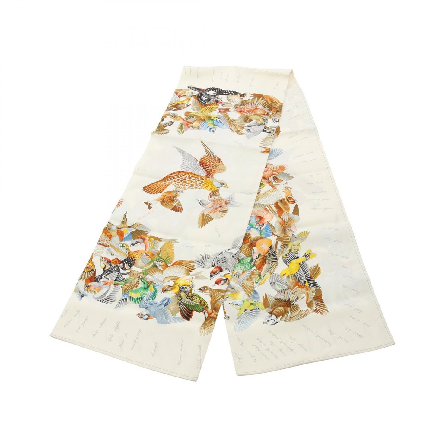 Hermes Scarf L'intrus Silk