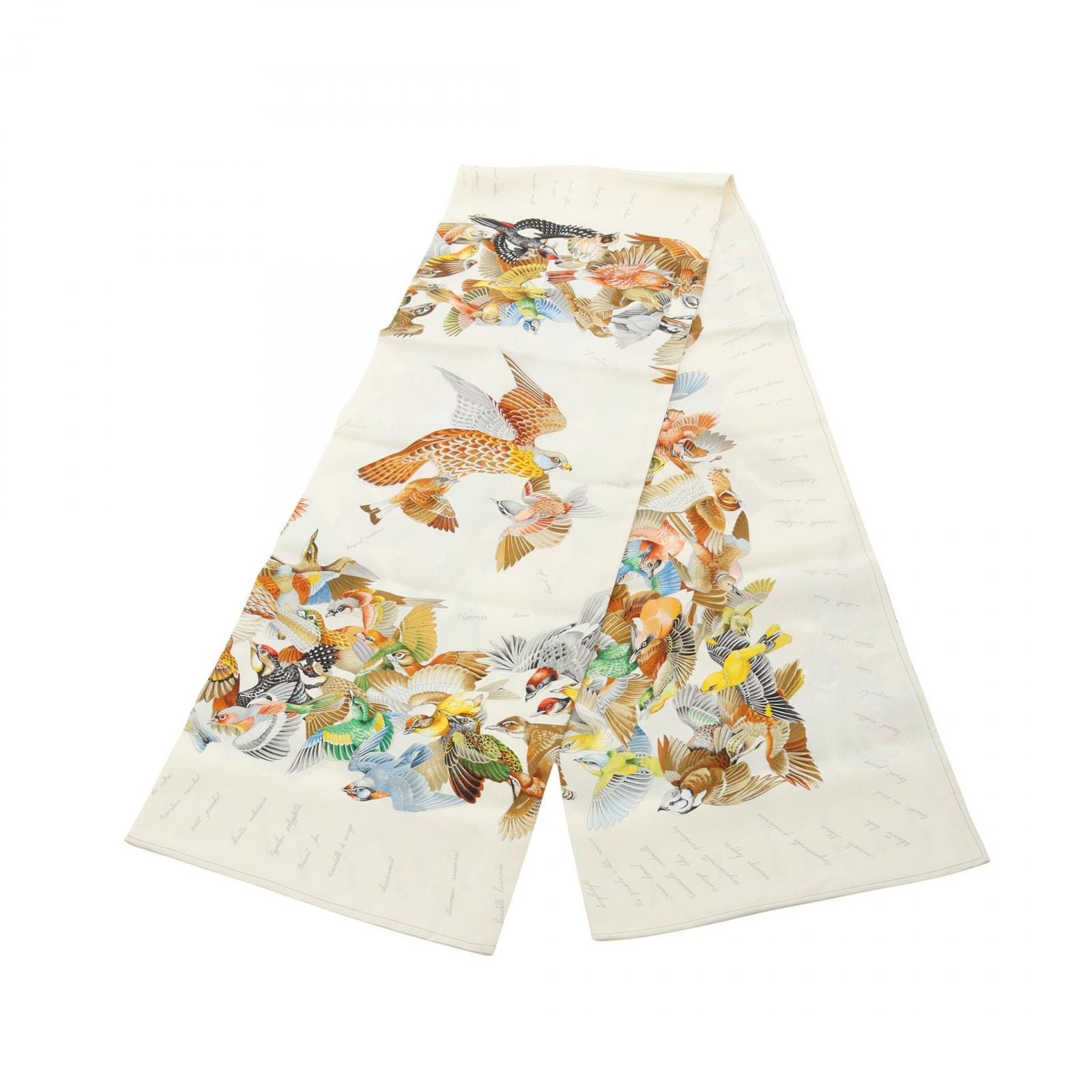 Hermes Scarf L'intrus Silk