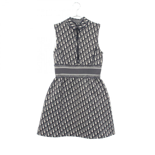 Dior Dio Dress Oblique zip pickpocket Nylon