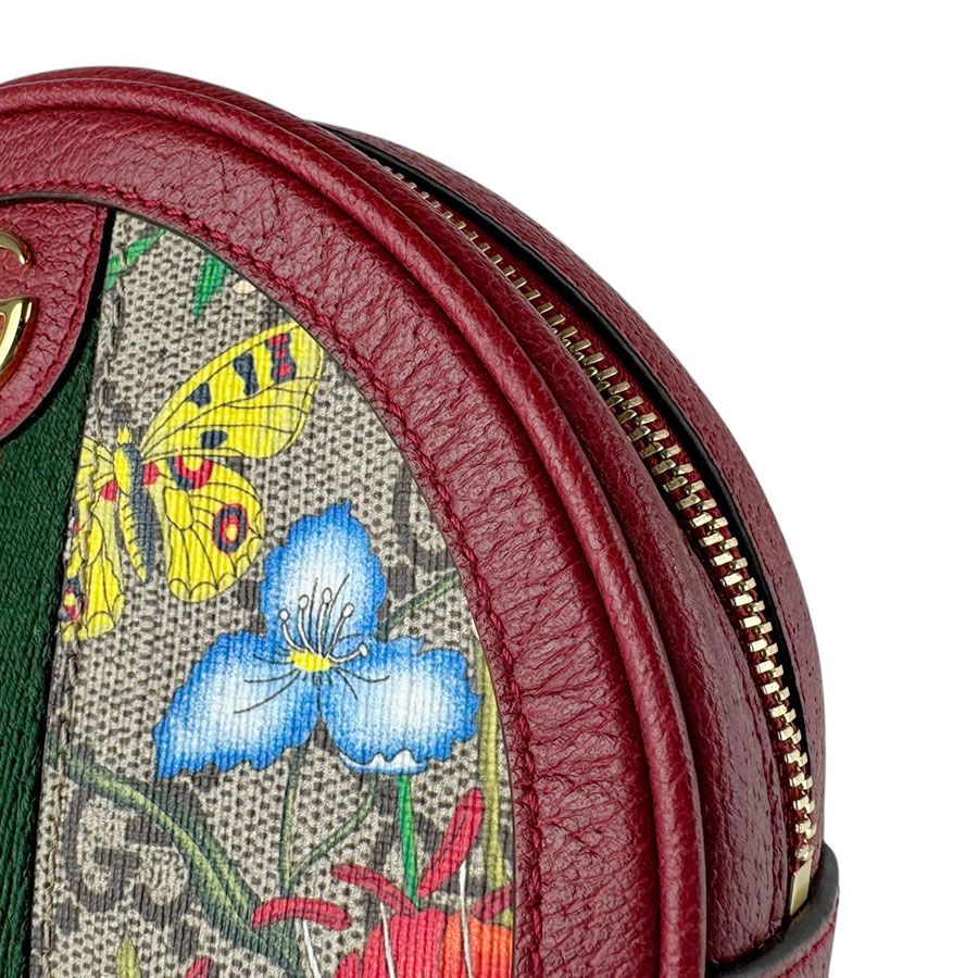 Gucci Backpack GG Flora — view 7