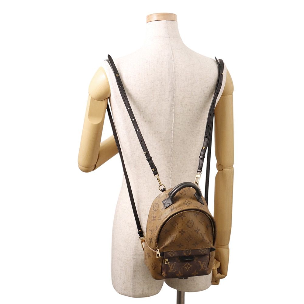 Louis Vuitton Backpack Monogram Reverse Palm Springs Mini Bag Black — view 5