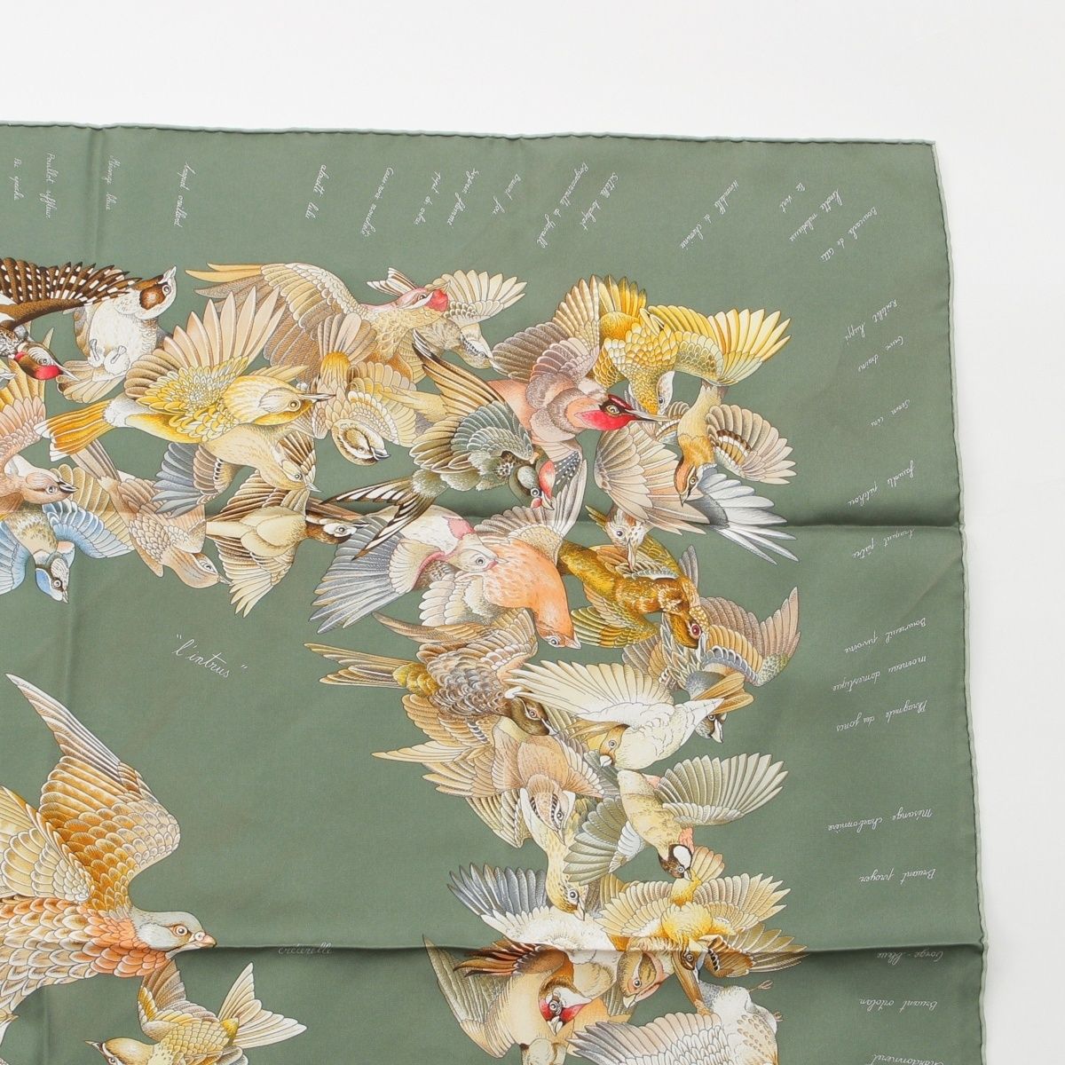 Hermes Carre 90 L'intrus Intruder Silk Bird Scarf Green — view 3