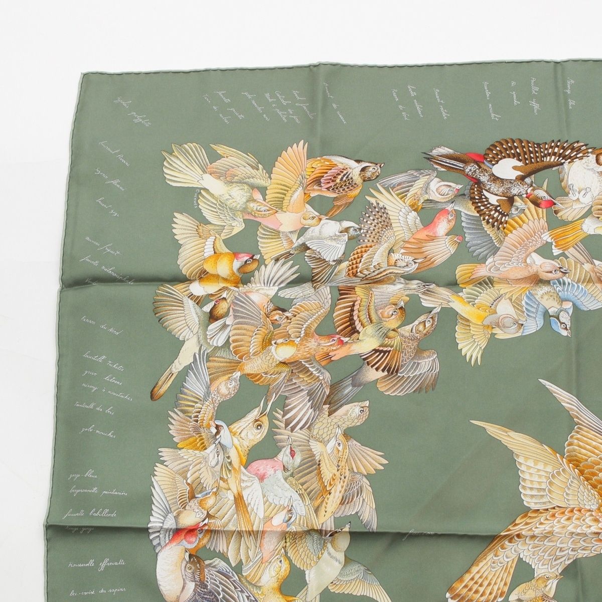 Hermes Carre 90 L'intrus Intruder Silk Bird Scarf Green — view 2