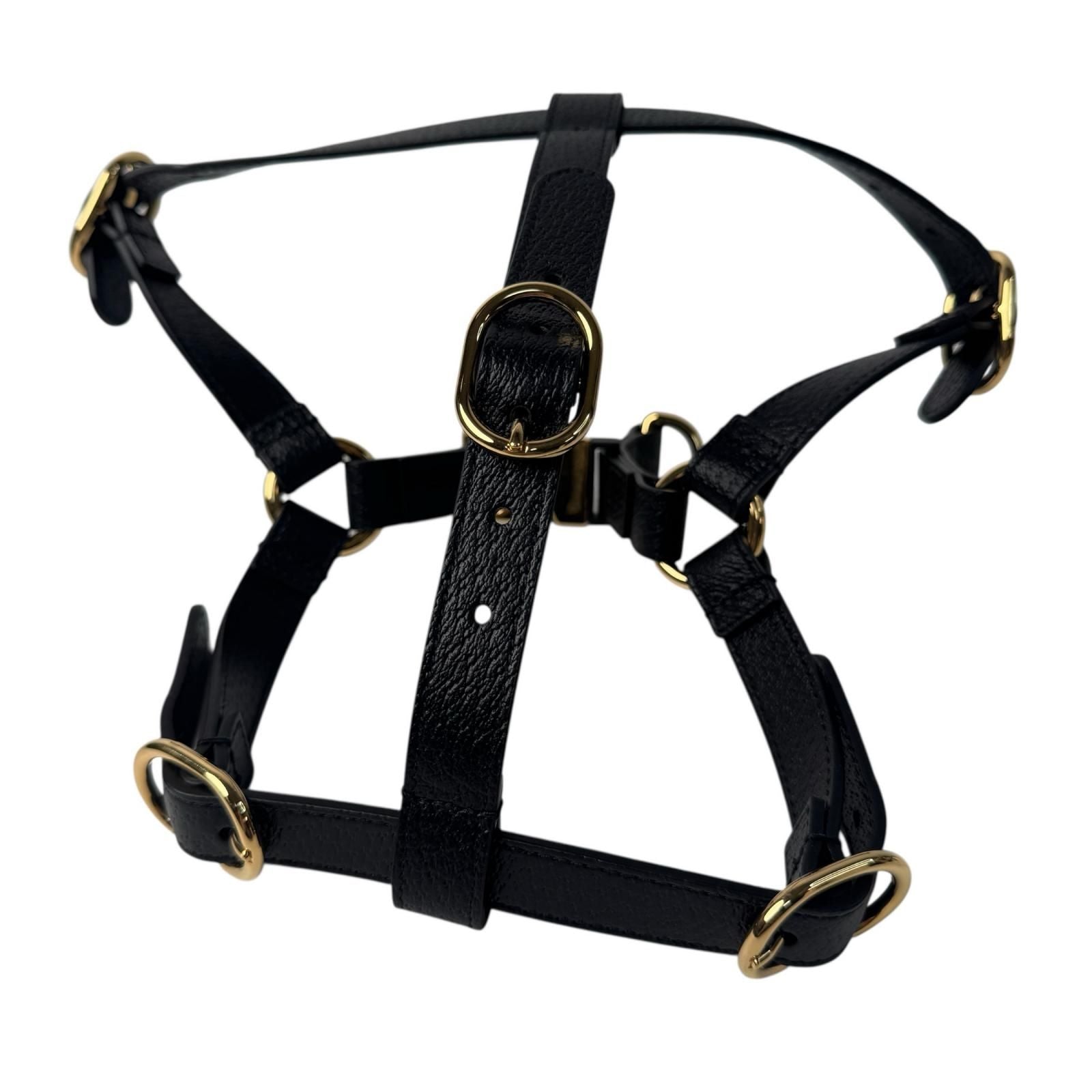 Gucci Interlocking Harness Dog Leather Pet Accessory