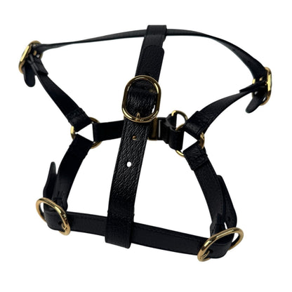 Gucci Interlocking Harness Dog Leather Pet Accessory