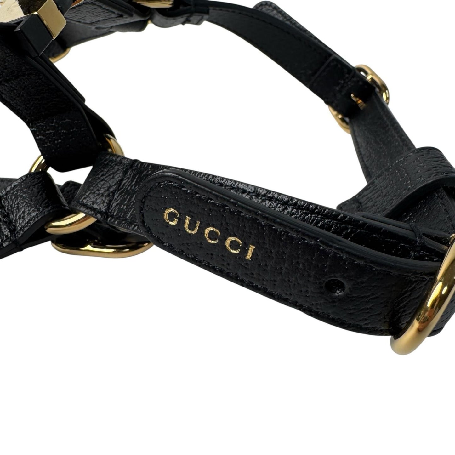 Gucci Interlocking Harness Dog Leather Pet Accessory — view 5