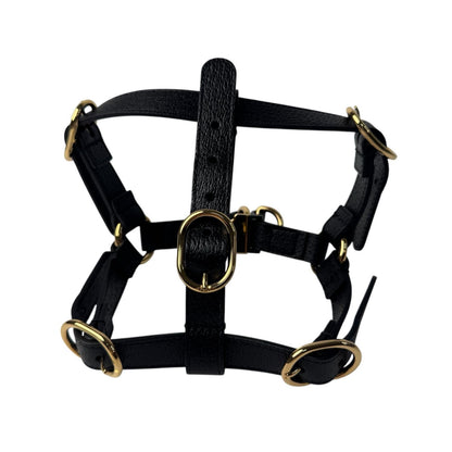 Gucci Interlocking Harness Dog Leather Pet Accessory