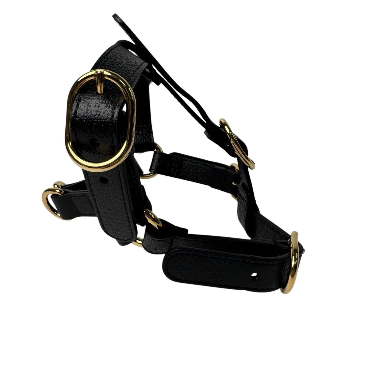 Gucci Interlocking Harness Dog Leather Pet Accessory — view 4
