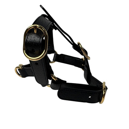 Gucci Interlocking Harness Dog Leather Pet Accessory — view 4