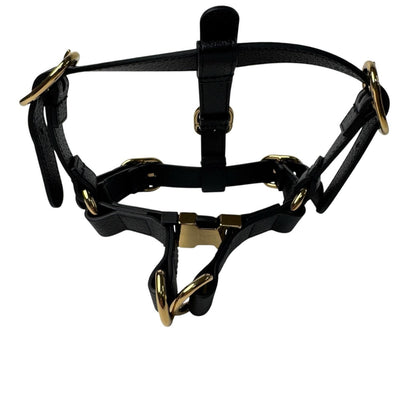 Gucci Interlocking Harness Dog Leather Pet Accessory — view 2