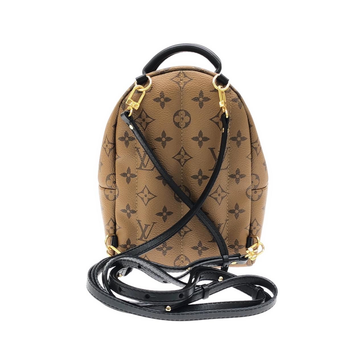 Louis Vuitton Monogram Reverse Palm Springs Backpack Mini — view 2