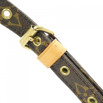 Louis Vuitton Monogram Amazon Shoulder — view 8