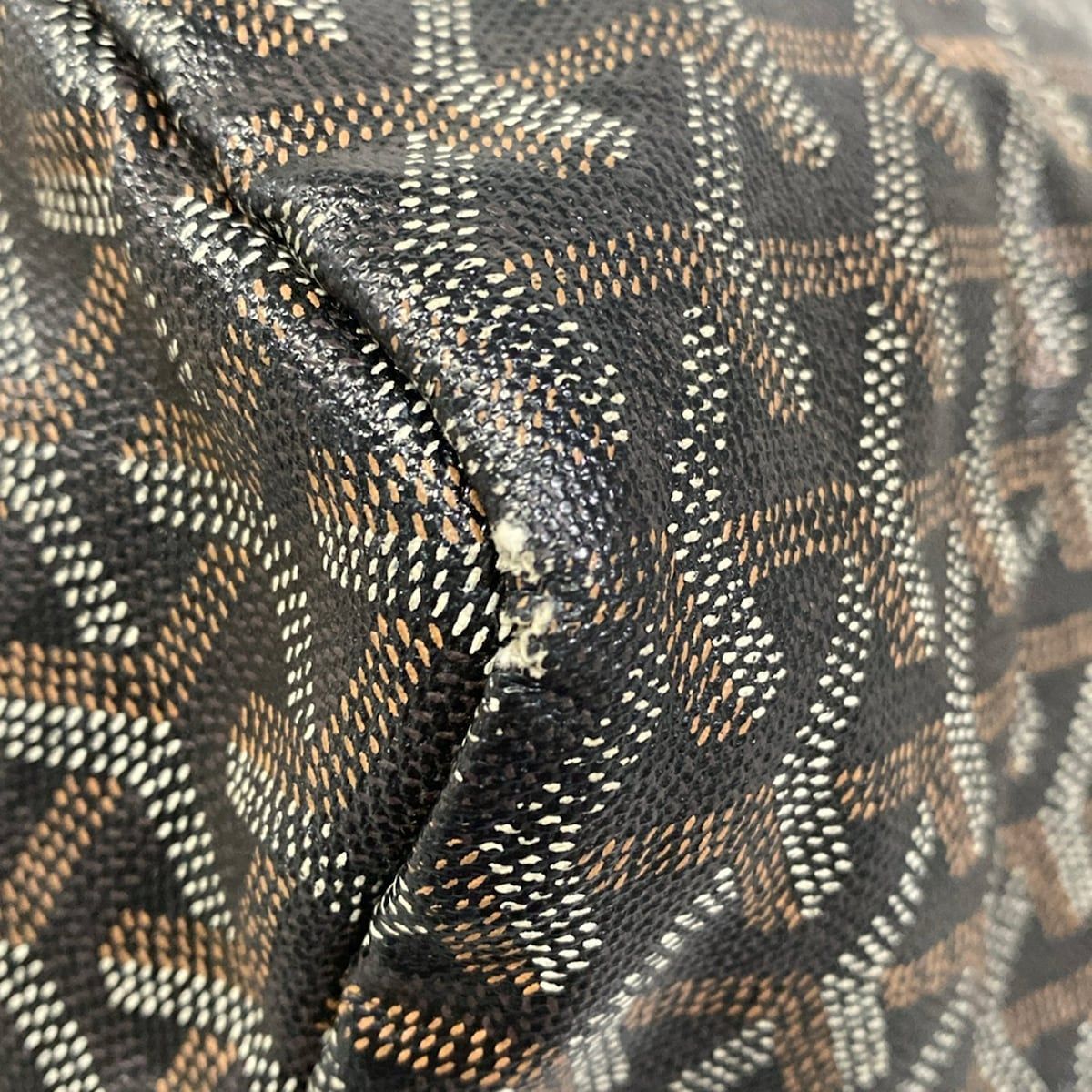 Goyard Tote Saint Louis PM Black Leather — view 6