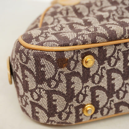 Dior Handbag Trotter Double Saddle Canvas Leather Brown Gold — view 8