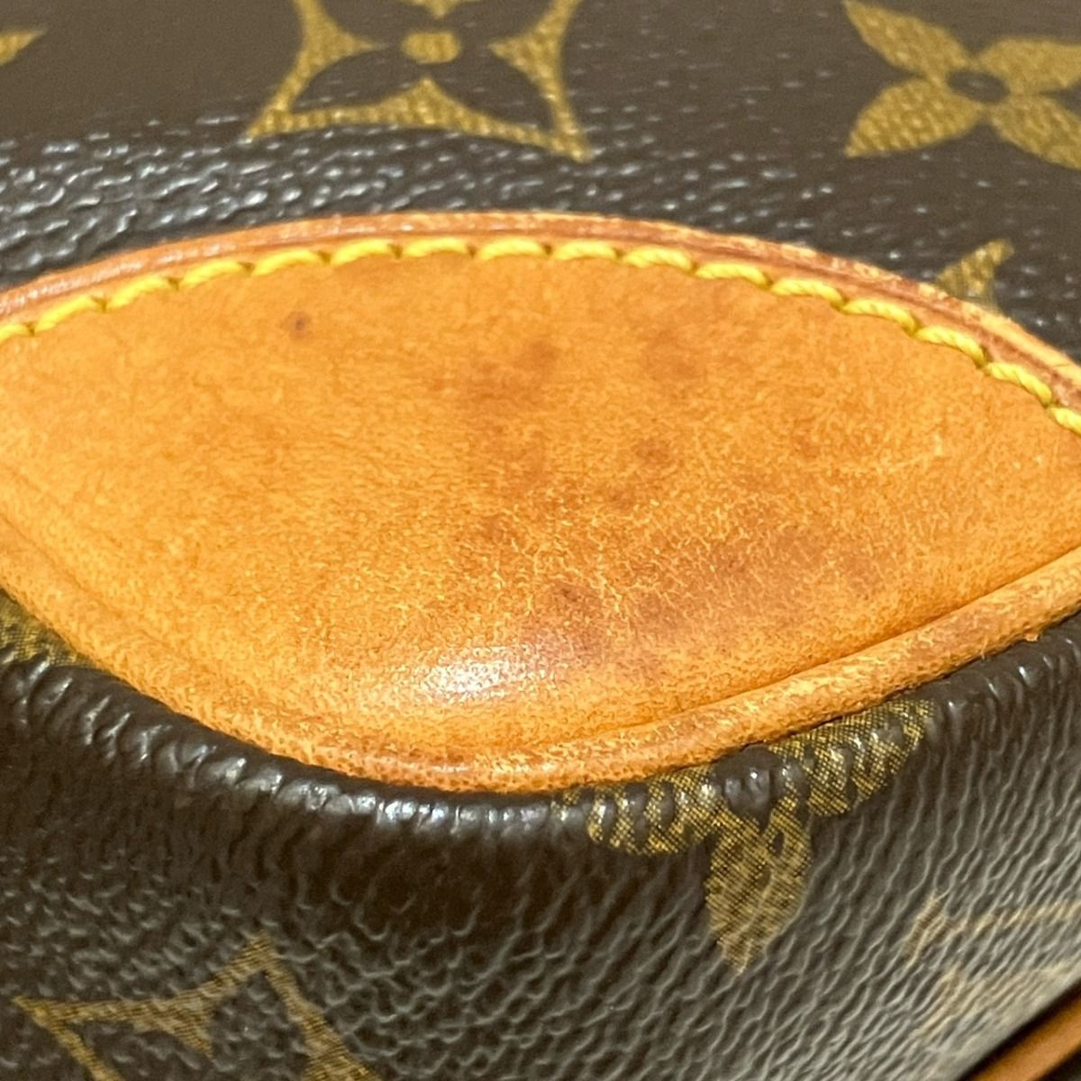 Louis Vuitton Amazon Monogram Shoulder Bag Leather — view 8
