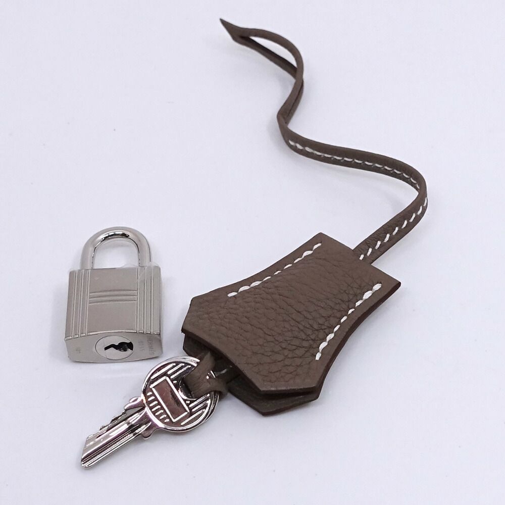 Hermes Birkin 25 Handbag Togo Etoupe Gray Ju Kei Silver — view 7