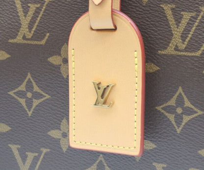 Louis Vuitton Monogram Odeon Shoulder — view 6