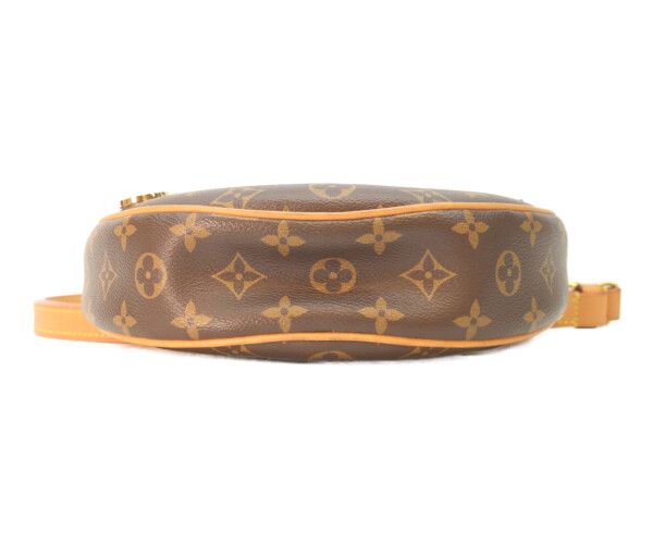 Louis Vuitton Monogram Loop Shoulder — view 5