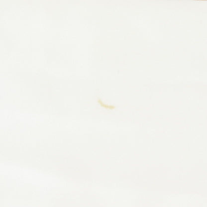 Chanel Tag Silk 100% Logo Beige Shawl Scarf — view 8