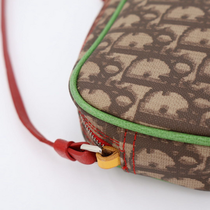 Dior Trotter Rasta Brown Shoulder — view 7