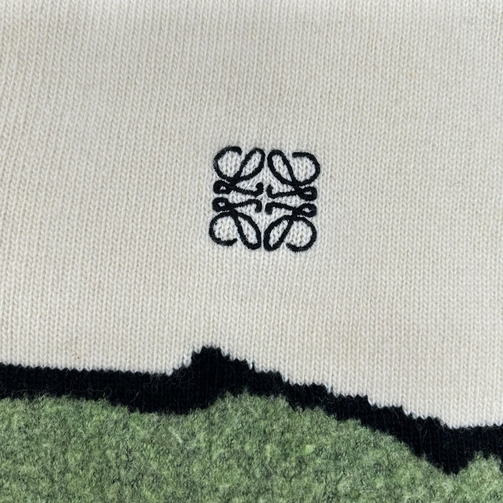 Loewe Ivory Herbarium Agram V-neck Deformed Knit XS Sweater — view 6